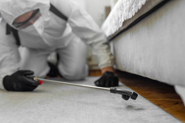 Professional Bed Bug Control technician working in Richmond Heights, OH