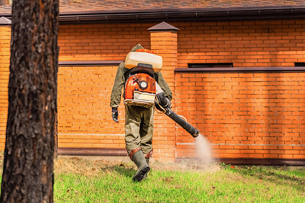 Trusted Bed Bug Control service in Richmond Heights, OH - Nex Pest Control